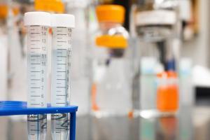 fast std testing