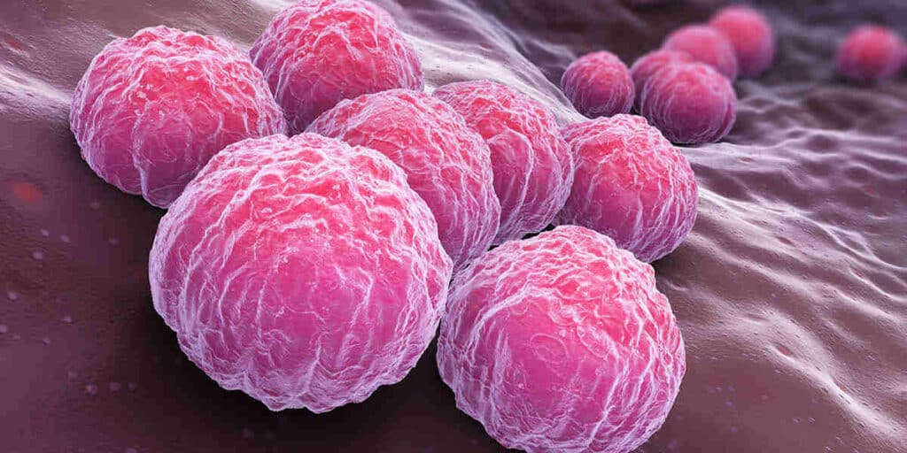 can you be immune to chlamydia