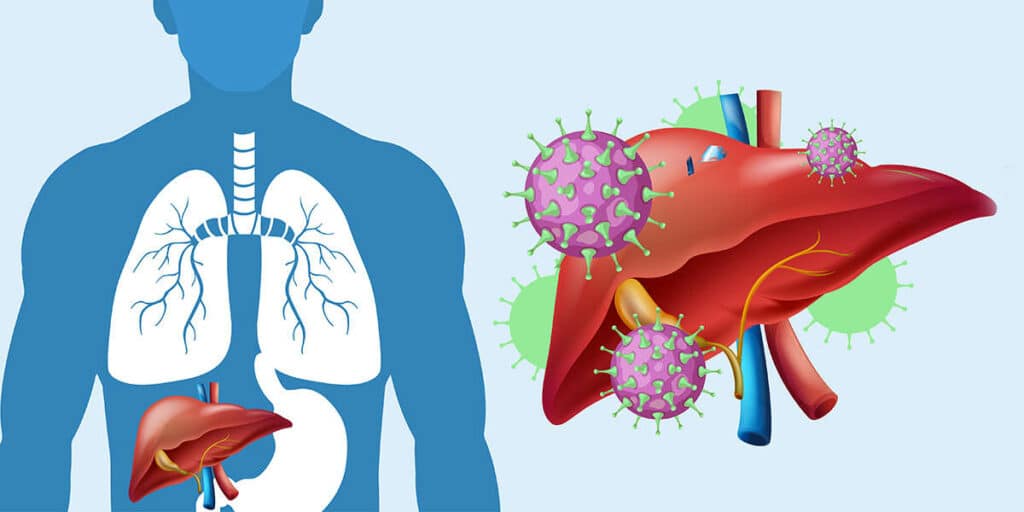 how does hepatitis c affect the body
